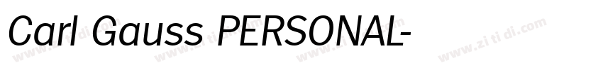 Carl Gauss PERSONAL字体转换